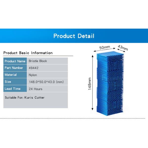 49442 Nylon Bristles Block Bristle Brushes For Kuris Dark Blue