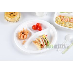 Disposable Sugarcane Bagasse Dishes Compostable Biodegradable Plates Dinnerware