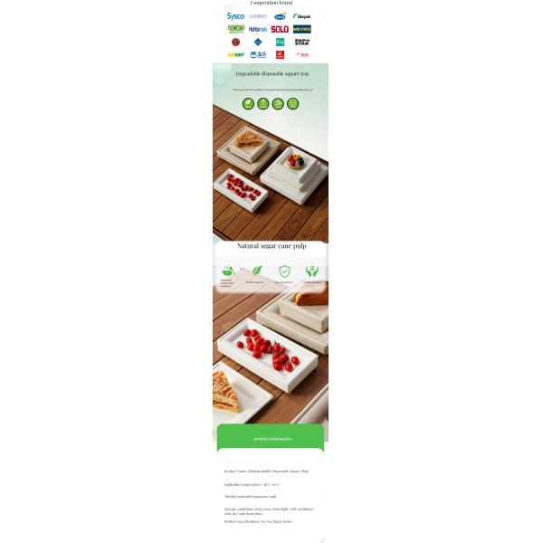 Biodegradable Disposable Cutlery and Dinnerware Round Shape Environmentally Friendly