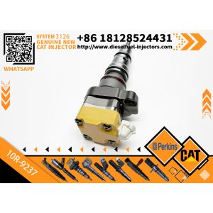 China 178-0199 1780199 Common Rail Fuel Injector for CAT 3126B 3126E 10R-0782 10R-9237 Diesel Injection Valves on sale