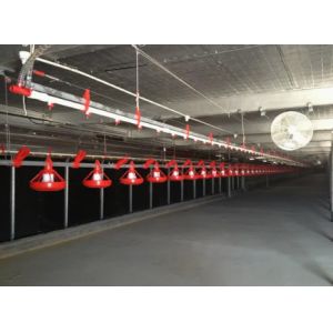 Prefabricated Steel Structure Thermostatic Hot DIP Galvanized Steel Poultry