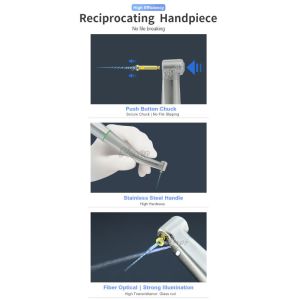 Reciprocating Handpiece 10:1 Endodontic Treatment With Fiber Optical