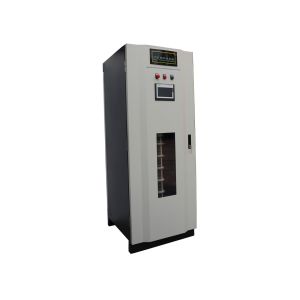 Quality ISO9001 Remote Control Electro Chlorination System for Food Grade Disinfection for sale