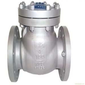 High Level Manual Cryogenic Check Valve for Energy Mining Valves Complete