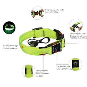 Customized LED USB Rechargeable Pet Dog Collar With Buckles Nylon Webbing