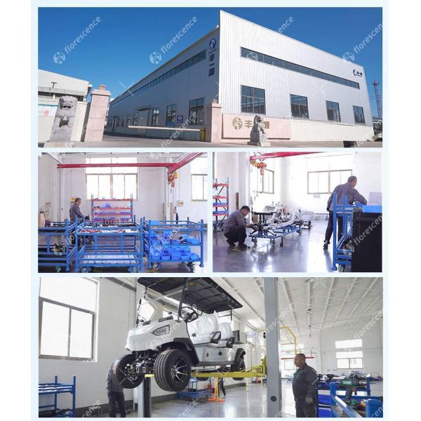 High Power Electric Golf Cart 2+2 4seats 48V Battery 5KW Motor for Golf Course and Resort