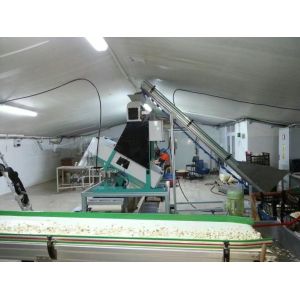 High Quality Intelligent WYB2 Belt Garlic Color Sorter with High Accuracy Wifi