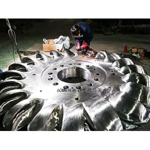 500-3000r/min Speed Range Pelton Type Turbine Generator with Brushless