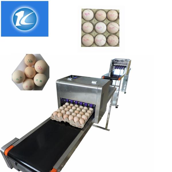 High Precision Expiration Date And Customizable Style For Egg Printing Machine