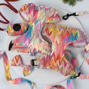 Neoprene Custom Color Dog Harness Sets with Luxury Designers Metal Buckle Leash