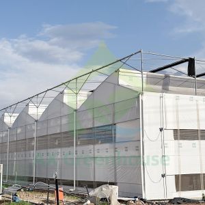 Agriculture Plastic Film Polytunnel Multi-span Strawberry Greenhouse