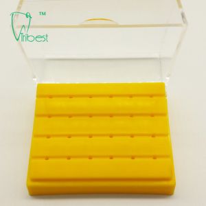 24 Holes Dental Endodontic File Holder Placing Box
