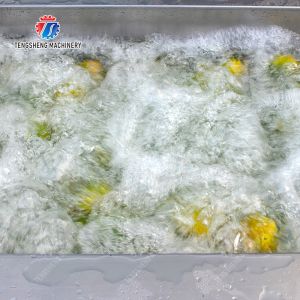 Air Brush Cleansing Citrus Processing Line , Anti Abrasion Sullage Removal