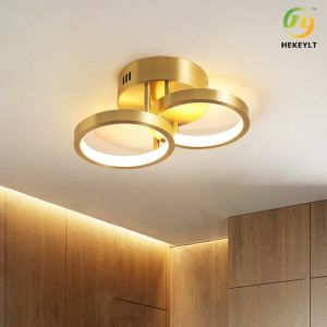 Copper Cloakroom LED Ceiling Light Simple Aisle Lamp