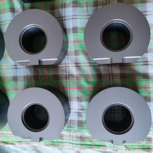 Custom Silicon Carbide Gear Pump Bearing for Industrial Use