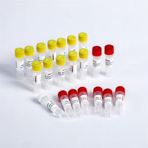 Multiplex Oligos 2 NGS Library Construction For Illumina K002-B/192 Rxns