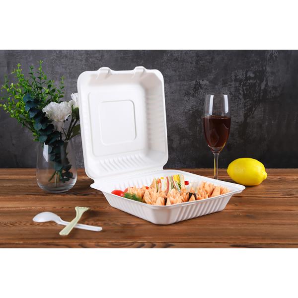 Eco food packaging tableware biodegradable clamshell take away box