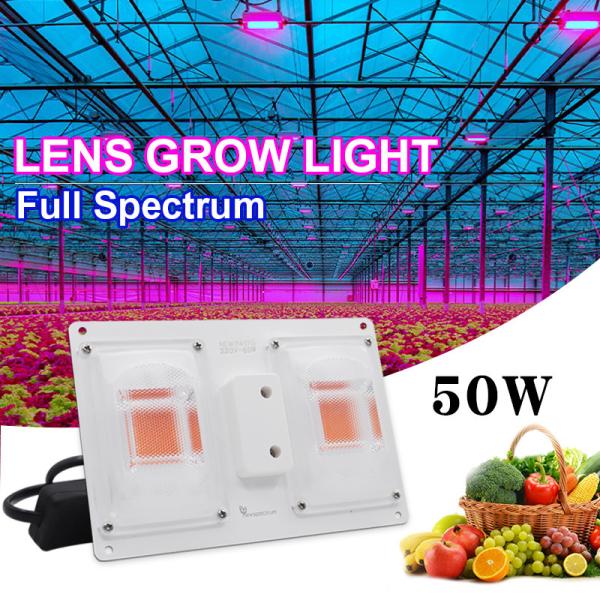 AC 120V Full Spectrum Grow Lights Switch Control For Greenhouse Horticultural Plants