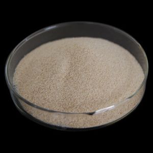 Quality sodium alginate light yellow powder(food grade) for sale