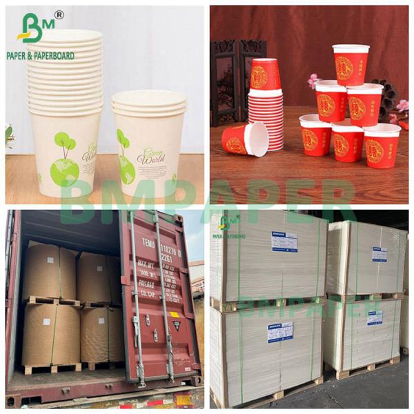 230gsm White Disposable High Folding Resistance Paper Cup Paper Board