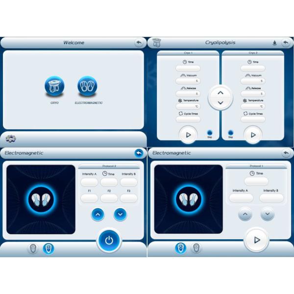 Cryolipolyse EMS Machine 360 Cryo Fat Freezing Cellulite Removal