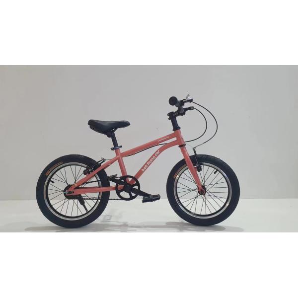 Gross Weight 16.8g Adult Cycle Road Bike Bicycle With Belt Drive And Aluminium Frame