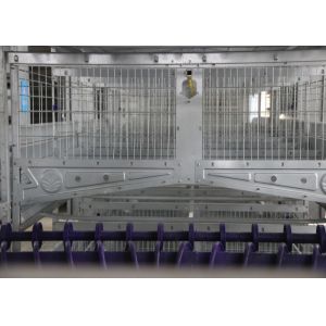 China Multi - Tiers Layer Poultry Equipment Broiler Cage Farming Manage Easily on sale