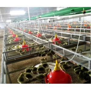 Chicken Automatic Waterer Drinker Plasson Bell Drinker Goose Duck Chicken