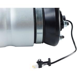 LR019993 Air Suspension Parts Air Suspension Strut
