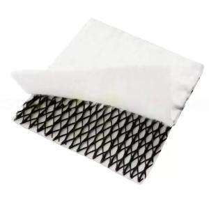 density Polyethylene Plastic Road Base Geonet 3D Composite Drainage Geonet