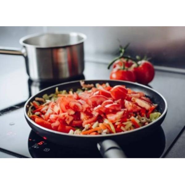 Buy Sensor Touch 1800W 9 Power Level Electric Induction Hob at wholesale prices