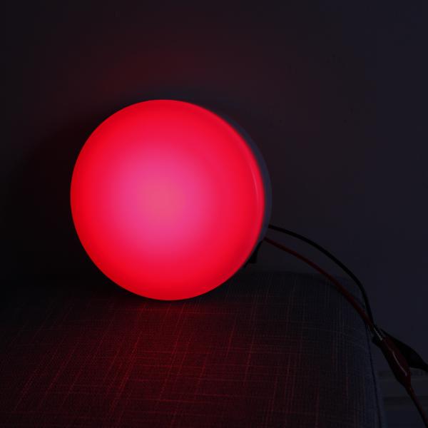 White Red Flush Mount Boat Interior Ceiling Lamp Marine LED Dome Light With 3 Position Switch