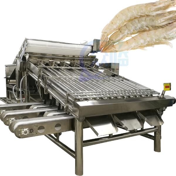 Buy Lobster sorting and grading machine Shrimp grading machine Shrimp sorting machine at wholesale prices