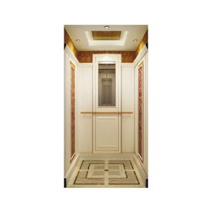 China Elderly People Smart Small Villa Elevator Home 450 To 1600KG 4m/S on sale