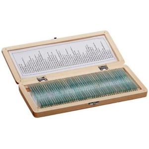 Pre Prepared 50pcs Microscope Glass Slides Mixed On Animal Plant And Insect