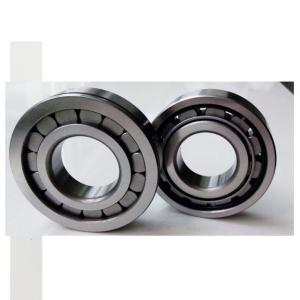 Z4 NU305ECP GCR15 NU 1021 Cylindrical Roller Bearing