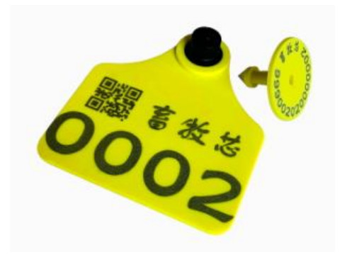 UHF RFID Cattle Tag With Encoding And Printing TPU Material , RFID UHF cow Ear