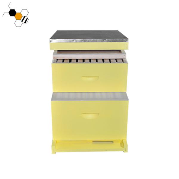 Buy Painted 10 Frames Bee Farm 2 Layers Langstroth Beehive at wholesale prices