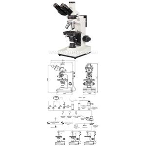 Laboratory Research Polarization Microscope Binocular A15.0203