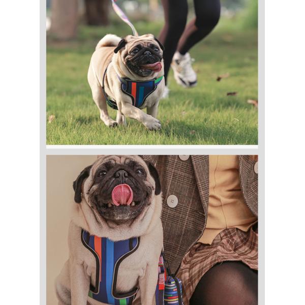 Reflective Dog Harness Matching Leash S-XL Cat Harness And Leash Set