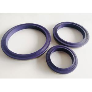 ISO9001 Approved Professional Hydraulic Lip Seal 1-150000 Psi Pressure