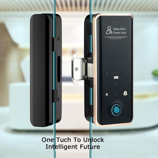Villa Face Id Smart Lock ROHS Automatic Door Lock For Apartment
