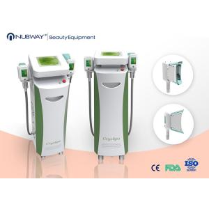 Quality New 2 handles cryolipolysis cellulite reduction equipment for whole body slimming for spa for sale