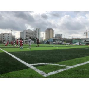 50mm Stem Shape Artificial Football Pitches With Disease Resistance