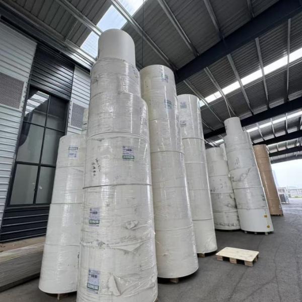 Single PE coated Paper Roll for food packaging paper cups with waterproof