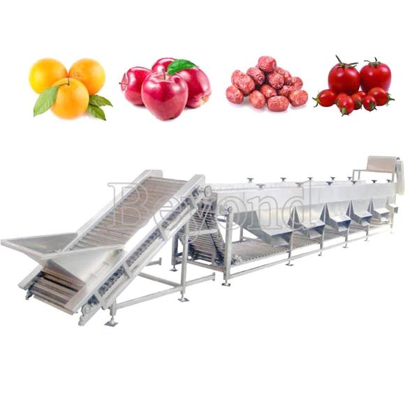Buy Automatic Mango Washing Waxing Grading Machine For Fruit Processing at wholesale prices