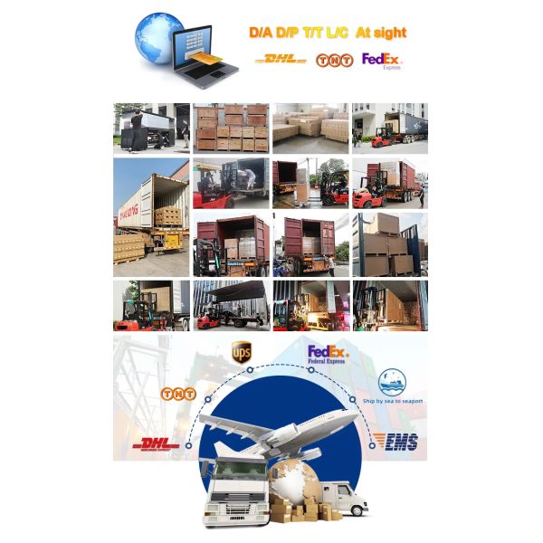 KECAI Customized A3 33cm Dual Head XP600 Transfer DTF Printer With RINN Software and Suction Platform for Fabric Printing