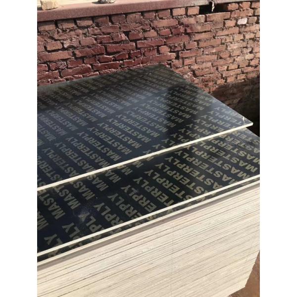 Buy Customized Thickness Construction Grade Plywood Low Formaldehyde Emission at wholesale prices