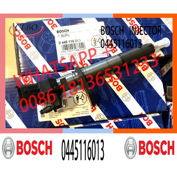 0445116012 0445116013 0445116064 0445116065 Common Rail Fuel Diesel Injector For Citroen