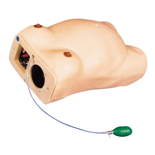 PVC gynecologic simulator fetus heart sound auscultation , pelvis measurement